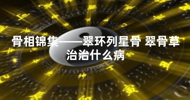 骨相锦集——翠环列星骨 翠骨草治治什么病
